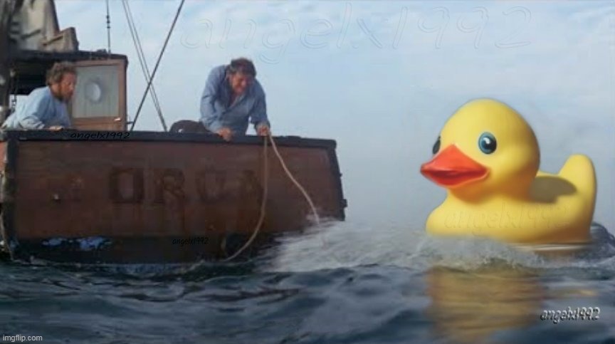image tagged in rubber ducks,horror,movies,jaws,shark,toys | made w/ Imgflip meme maker