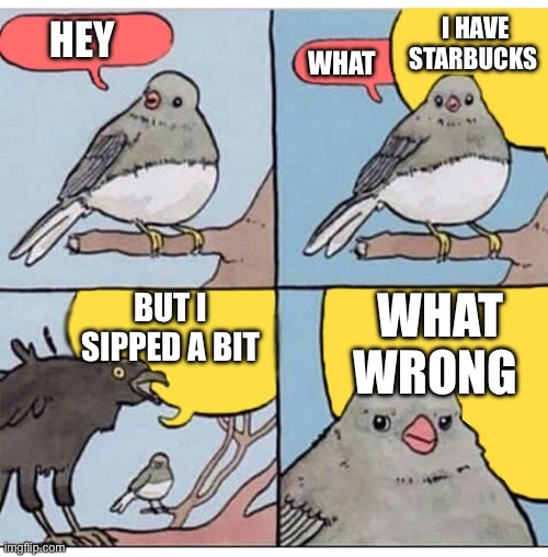 annoyed bird | I HAVE STARBUCKS; HEY; WHAT; BUT I SIPPED A BIT; WHAT WRONG | image tagged in annoyed bird | made w/ Imgflip meme maker