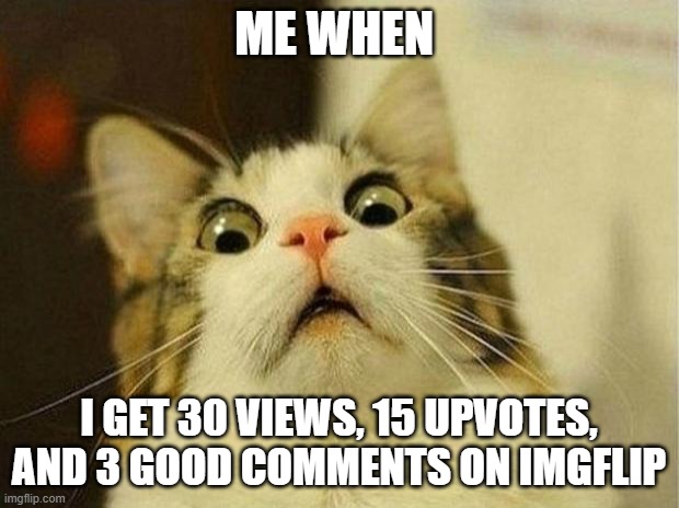 Scared Cat Meme | ME WHEN; I GET 30 VIEWS, 15 UPVOTES, AND 3 GOOD COMMENTS ON IMGFLIP | image tagged in memes,scared cat | made w/ Imgflip meme maker