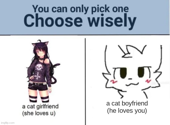 one last meme | a cat boyfriend
(he loves you) | image tagged in choose wisely | made w/ Imgflip meme maker