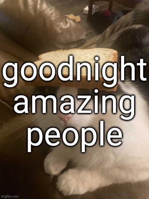 bread cat | goodnight amazing people | image tagged in bread cat | made w/ Imgflip meme maker