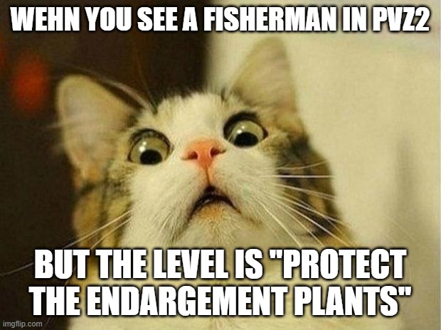 PVZ2 meme | WEHN YOU SEE A FISHERMAN IN PVZ2; BUT THE LEVEL IS "PROTECT THE ENDARGEMENT PLANTS" | image tagged in memes,scared cat | made w/ Imgflip meme maker