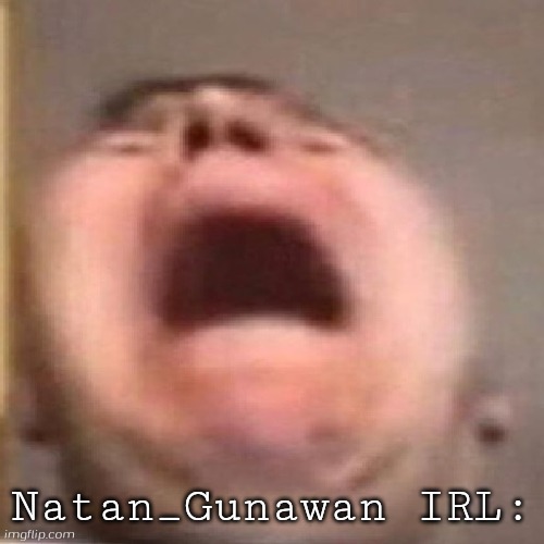 nikocado scream | Natan_Gunawan IRL: | image tagged in nikocado scream | made w/ Imgflip meme maker