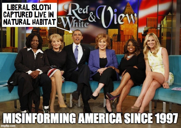 Le Viéw is Le Péw | image tagged in vince vance,barack obama,the view,whoopi goldberg,barbara walters,joy behar | made w/ Imgflip meme maker