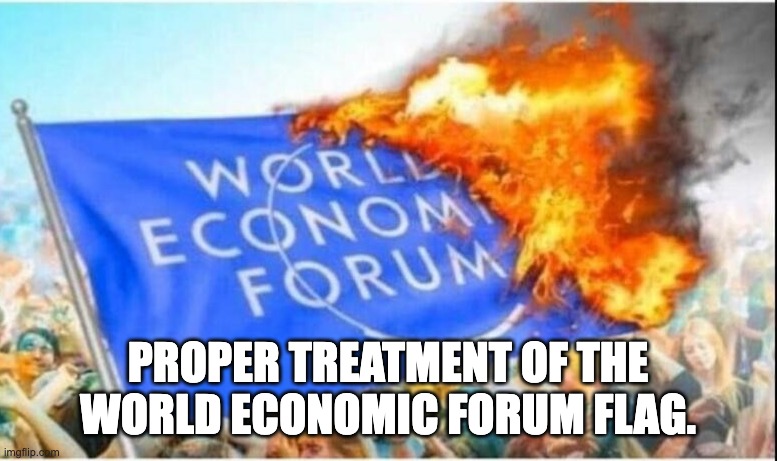 PROPER TREATMENT OF THE WORLD ECONOMIC FORUM FLAG. | image tagged in wef burning flag | made w/ Imgflip meme maker