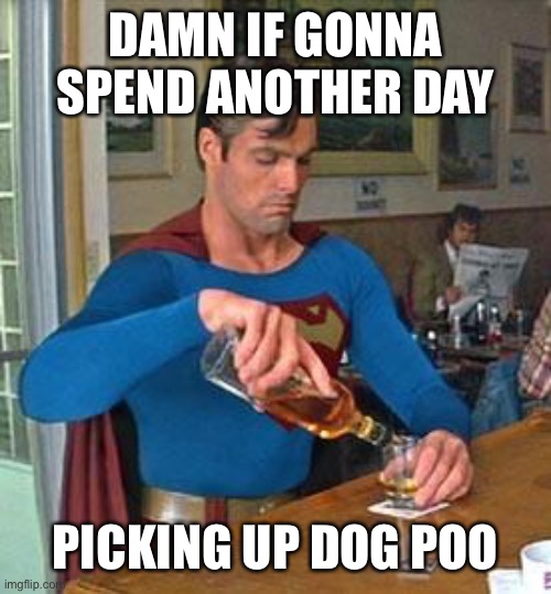 Drunk Superman | DAMN IF GONNA SPEND ANOTHER DAY PICKING UP DOG POO | image tagged in drunk superman | made w/ Imgflip meme maker