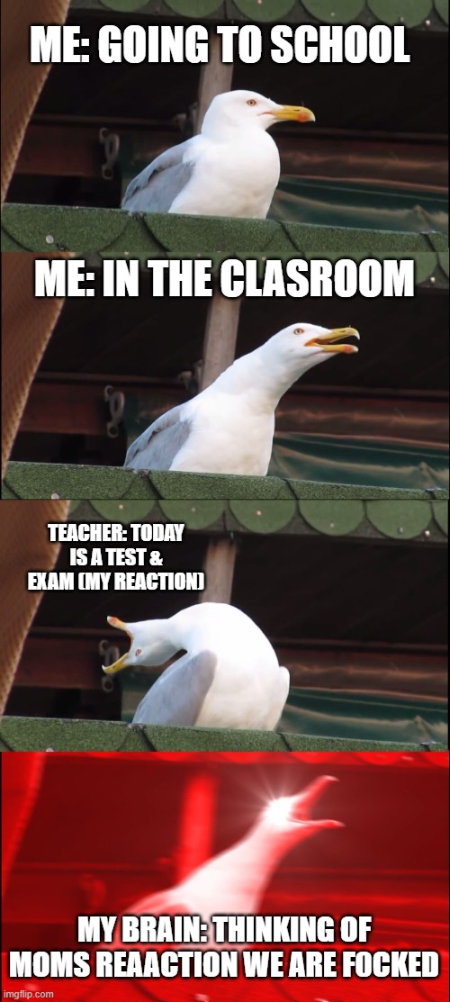 Inhaling Seagull | ME: GOING TO SCHOOL; ME: IN THE CLASROOM; TEACHER: TODAY IS A TEST & EXAM (MY REACTION); MY BRAIN: THINKING OF MOMS REAACTION WE ARE F0CKED | image tagged in memes,inhaling seagull | made w/ Imgflip meme maker