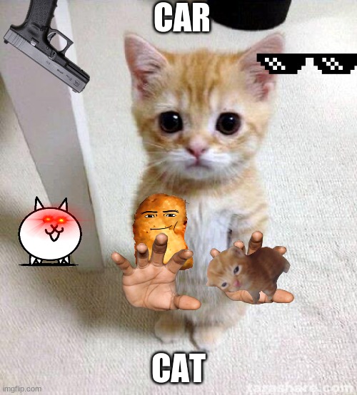 baba | CAR; CAT | image tagged in memes,cute cat | made w/ Imgflip meme maker