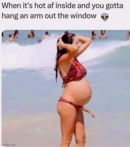 Window | image tagged in window,too hot | made w/ Imgflip meme maker