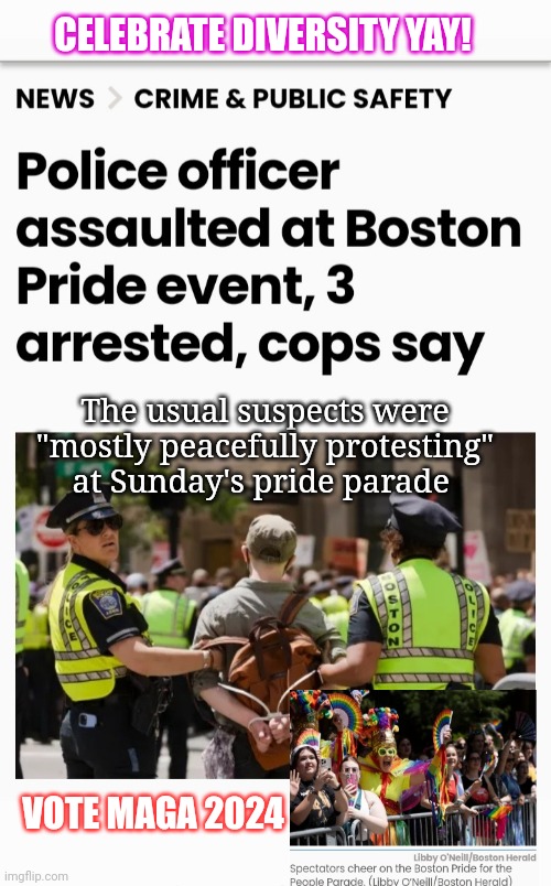 "Mostly peaceful" protesters At It Again | CELEBRATE DIVERSITY YAY! The usual suspects were "mostly peacefully protesting" at Sunday's pride parade; VOTE MAGA 2024 | image tagged in deviantart week 2,weirdo,is this much violence really necessary,protesters,libtards | made w/ Imgflip meme maker