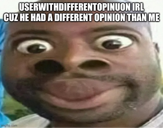 Average meme from banbodilover, you can count this as an Imgflip user slander bonus | USERWITHDIFFERENTOPINUON IRL CUZ HE HAD A DIFFERENT OPINION THAN ME | image tagged in insert skibiditard toilet fans in real life,read the title | made w/ Imgflip meme maker