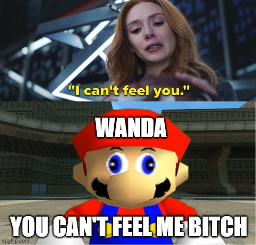 wanda can't feel mario | WANDA; YOU CAN'T FEEL ME BITCH | image tagged in smg4 mario derp reaction,wandavision,feelings,i can't even,marvel,no bitches | made w/ Imgflip meme maker