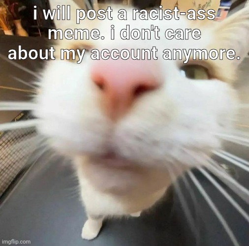 blehh cat | i will post a racist-ass meme. i don't care about my account anymore. | image tagged in blehh cat | made w/ Imgflip meme maker