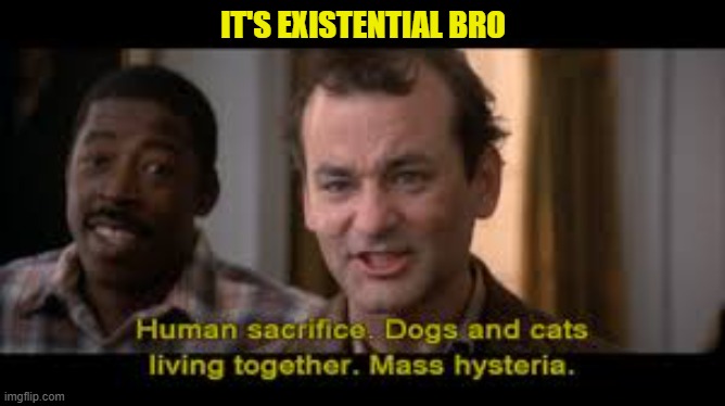 IT'S EXISTENTIAL BRO | made w/ Imgflip meme maker