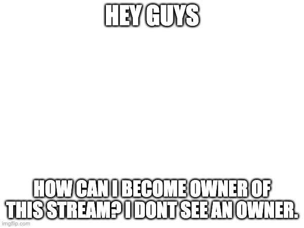 HEY GUYS; HOW CAN I BECOME OWNER OF THIS STREAM? I DONT SEE AN OWNER. | made w/ Imgflip meme maker