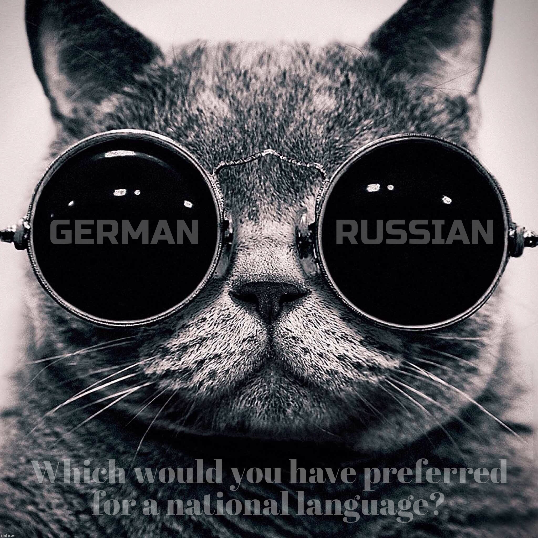 When foreigners complain about United States of America protecting them from themselves | GERMAN             RUSSIAN; Which would you have preferred
for a national language? | image tagged in nazi germany,ussr,take your pick,uber alles,change your own diapers,you're welcome | made w/ Imgflip meme maker