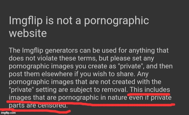 Imgflip is not for porno | image tagged in imgflip is not for porno | made w/ Imgflip meme maker