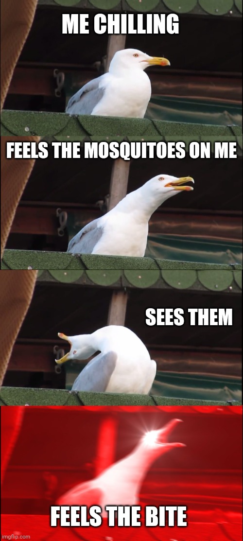 Mosquitoes on me | ME CHILLING; FEELS THE MOSQUITOES ON ME; SEES THEM; FEELS THE BITE | image tagged in memes,inhaling seagull | made w/ Imgflip meme maker