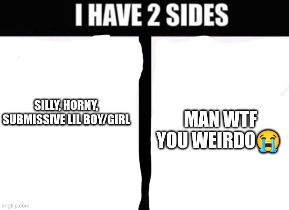 i have 2 sides | MAN WTF YOU WEIRDO😭; SILLY, HORNY, SUBMISSIVE LIL BOY/GIRL | image tagged in i have 2 sides | made w/ Imgflip meme maker