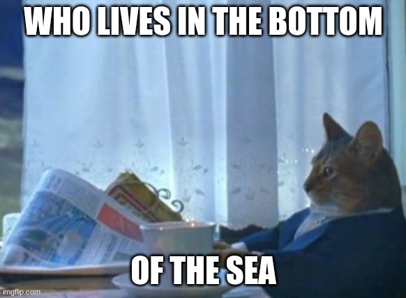 I Should Buy A Boat Cat Meme | WHO LIVES IN THE BOTTOM; OF THE SEA | image tagged in memes,i should buy a boat cat | made w/ Imgflip meme maker
