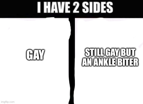 i have 2 sides | STILL GAY BUT AN ANKLE BITER; GAY | image tagged in i have 2 sides | made w/ Imgflip meme maker