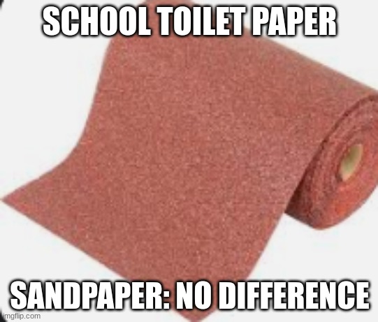 SCHOOL | SCHOOL TOILET PAPER; SANDPAPER: NO DIFFERENCE | image tagged in world most normal school toilet paper | made w/ Imgflip meme maker