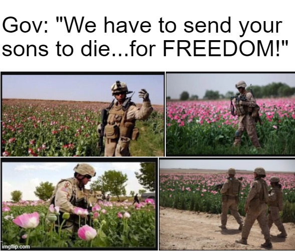 "Those poppy plants are a threat to our dEmOcRaCy!" | Gov: "We have to send your sons to die...for FREEDOM!" | made w/ Imgflip meme maker