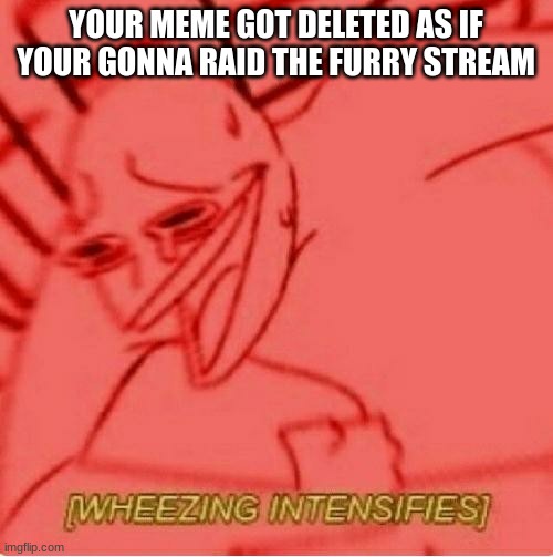 Wheeze | YOUR MEME GOT DELETED AS IF YOUR GONNA RAID THE FURRY STREAM | image tagged in wheeze | made w/ Imgflip meme maker