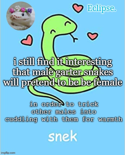 . | i still find it interesting that male garter snakes will pretend to be be female; in order to trick other males into cuddling with them for warmth | image tagged in h | made w/ Imgflip meme maker