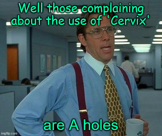 That Would Be Great Meme | Well those complaining about the use of 'Cervix' are A holes | image tagged in memes,that would be great | made w/ Imgflip meme maker