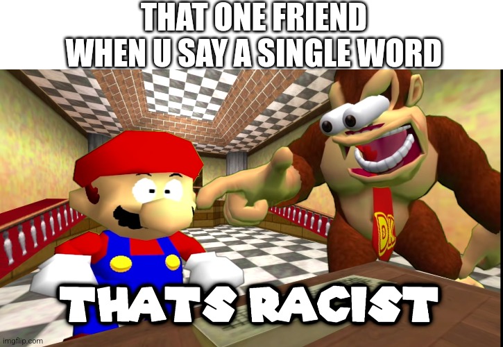 DK says that's racist | THAT ONE FRIEND WHEN U SAY A SINGLE WORD | image tagged in dk says that's racist | made w/ Imgflip meme maker