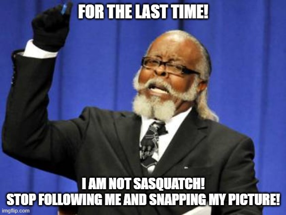 NOT Sasquatch! | FOR THE LAST TIME! I AM NOT SASQUATCH!

STOP FOLLOWING ME AND SNAPPING MY PICTURE! | image tagged in bigfoot | made w/ Imgflip meme maker