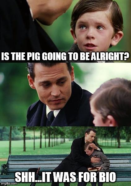 Finding Neverland Meme | IS THE PIG GOING TO BE ALRIGHT? SHH...IT WAS FOR BIO | image tagged in memes,finding neverland | made w/ Imgflip meme maker
