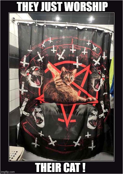 Satanic Cat Shower Curtain ! | THEY JUST WORSHIP; THEIR CAT ! | image tagged in cats,satanic | made w/ Imgflip meme maker