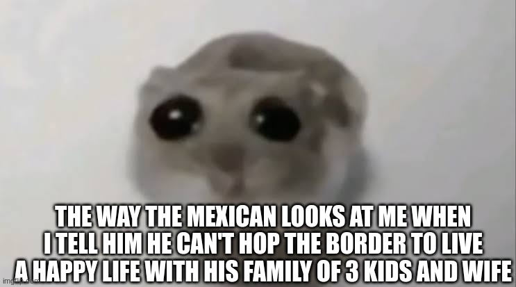 Sad Hamster | THE WAY THE MEXICAN LOOKS AT ME WHEN I TELL HIM HE CAN'T HOP THE BORDER TO LIVE A HAPPY LIFE WITH HIS FAMILY OF 3 KIDS AND WIFE | image tagged in sad hamster | made w/ Imgflip meme maker