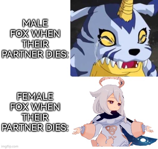 I was honestly shocked about male and female Fox. | MALE FOX WHEN THEIR PARTNER DIES:; FEMALE FOX WHEN THEIR PARTNER DIES: | image tagged in memes,male,female,fox | made w/ Imgflip meme maker