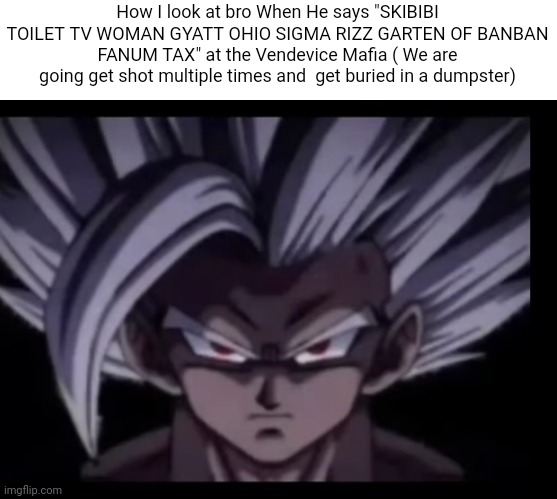 Beast Gohan stare | How I look at bro When He says "SKIBIBI TOILET TV WOMAN GYATT OHIO SIGMA RIZZ GARTEN OF BANBAN FANUM TAX" at the Vendevice Mafia ( We are going get shot multiple times and  get buried in a dumpster) | image tagged in beast gohan stare | made w/ Imgflip meme maker
