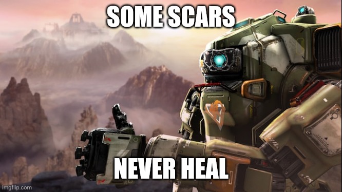 They say once you play a game, there are no more surprises. I wish Titanfall 2 had just one more. | SOME SCARS; NEVER HEAL | image tagged in bt-7274 thumbs up | made w/ Imgflip meme maker