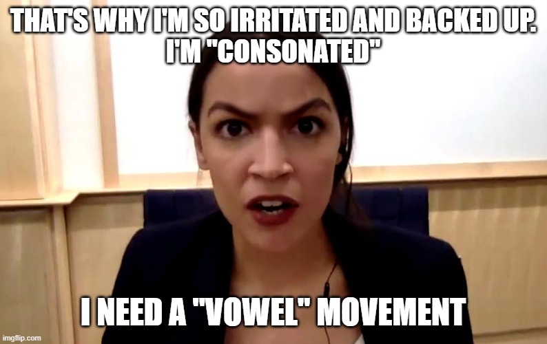 aoc | THAT'S WHY I'M SO IRRITATED AND BACKED UP.
I'M "CONSONATED" I NEED A "VOWEL" MOVEMENT | image tagged in aoc | made w/ Imgflip meme maker