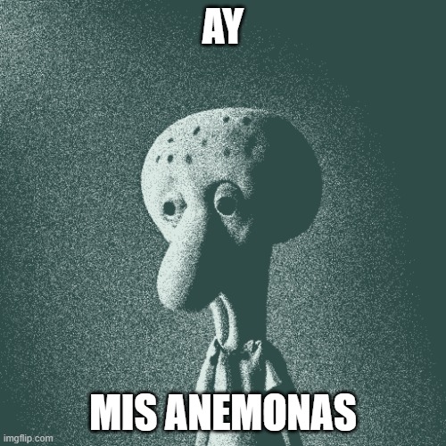 Anemonas | AY; MIS ANEMONAS | image tagged in kalmarianodo | made w/ Imgflip meme maker