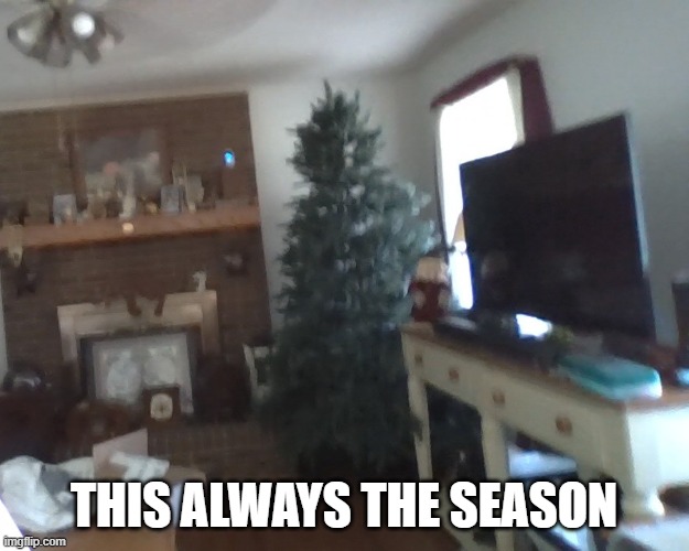 Its Summer but we still have our Christmas tree up LMAO XD | THIS ALWAYS THE SEASON | made w/ Imgflip meme maker