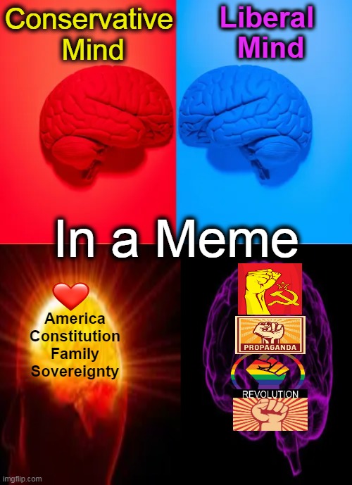 Are you right, left, or somewhere in between? | Liberal 
Mind; Conservative 
Mind; In a Meme; America
Constitution
Family
Sovereignty | image tagged in politics,choices,liberals vs conservatives,political meme,question,think about it | made w/ Imgflip meme maker