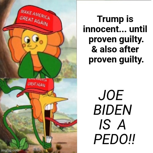 Cuphead Flower | Trump is 
innocent... until 
proven guilty.
& also after 
proven guilty. JOE  
BIDEN 
IS  A 
PEDO!! | image tagged in cuphead flower | made w/ Imgflip meme maker