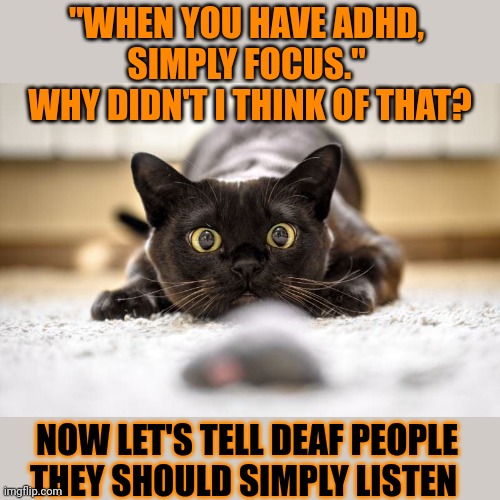 This #lolcat tells us it's really not all that simple | "WHEN YOU HAVE ADHD, 
SIMPLY FOCUS." 
WHY DIDN'T I THINK OF THAT? NOW LET'S TELL DEAF PEOPLE THEY SHOULD SIMPLY LISTEN | image tagged in adhd,focus,lolcat,think about it | made w/ Imgflip meme maker