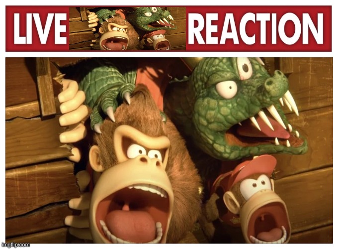 Live Donkey Diddy and K. Rool reaction | image tagged in live reaction | made w/ Imgflip meme maker