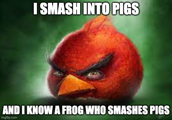 Realistic Red Angry Birds | I SMASH INTO PIGS; AND I KNOW A FROG WHO SMASHES PIGS | image tagged in realistic red angry birds | made w/ Imgflip meme maker