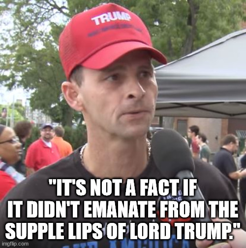 Trump supporter | "IT'S NOT A FACT IF IT DIDN'T EMANATE FROM THE SUPPLE LIPS OF LORD TRUMP." | image tagged in trump supporter | made w/ Imgflip meme maker