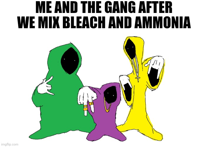 it makes a certain thing | ME AND THE GANG AFTER WE MIX BLEACH AND AMMONIA | image tagged in shadow wizard money gang | made w/ Imgflip meme maker