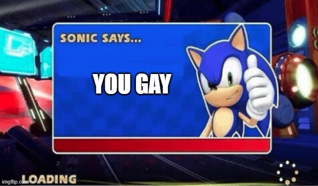 WELL I DONT HAVE IDEA FOR THIS | YOU GAY | image tagged in sonic says | made w/ Imgflip meme maker
