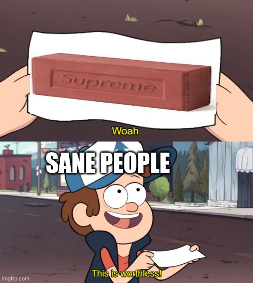 u dont even see it anyway | SANE PEOPLE | image tagged in this is worthless,brick | made w/ Imgflip meme maker